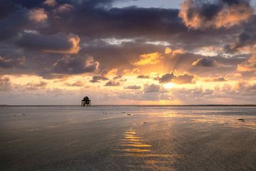 The Engelsman Plaat in the Wadden Sea by Ton Drijfhamer