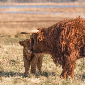 Mother and child by Ans Bastiaanssen