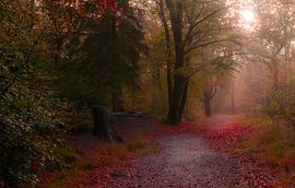 November rain bos van Claudia De Vries