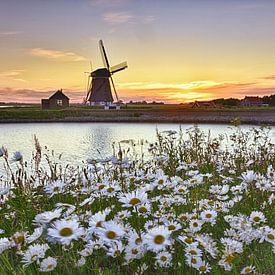 Texel mill 'Het Noorden by John Leeninga