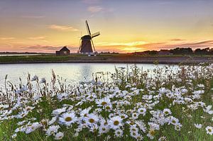 Moulin de Texel Het Noorden sur John Leeninga