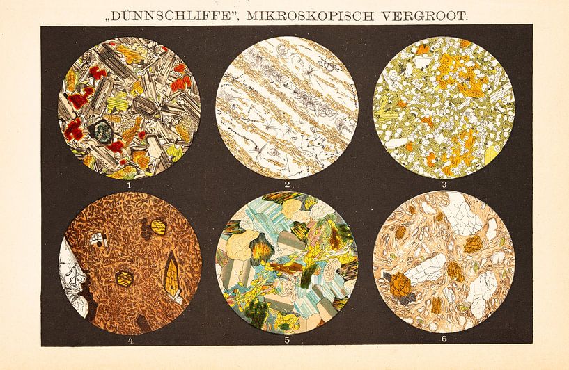 Schoolplaat in kleur Dünnschliffe van Studio Wunderkammer