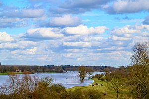 Die IJssel im Naturschutzgebiet Duursche Waarden