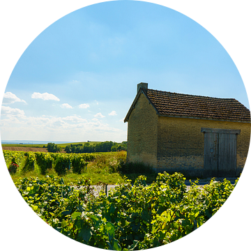 Franse schuur in wijngebied van Jeroen Berendse