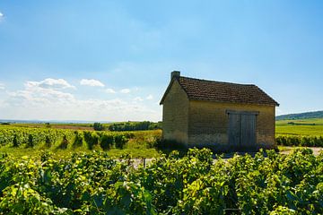 French barn in wine region by Jeroen Berendse