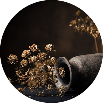 Gedroogde bloemen, gedroogde berenklauw met liggende vaas. van Henk Van Nunen Fotografie