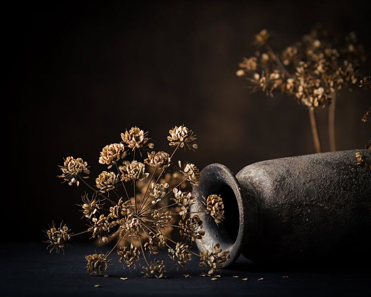 Getrocknete Blumen, getrockneter Bärenklau mit liegender Vase. von Henk Van Nunen Fotografie