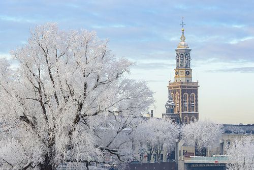 Berijpte bomen in de uiterwaarden van de IJssel bij Kampen met de Nieuwe Toren in de achtergrond