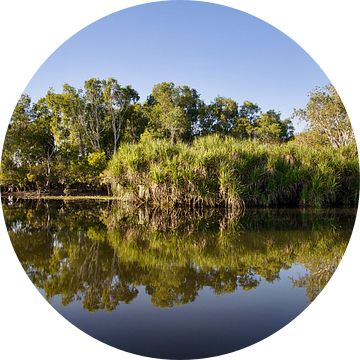 Kalme reflectie in Kakadu Australie van Laura Krol