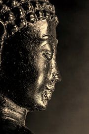 Standbeeld van Thomas Riess