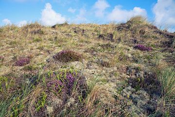 Küstenlandschaft von Bo Valentino