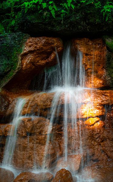 light on copper by Xenia Blair