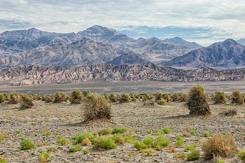 Schitterend landschap  in Death Valley, Californië