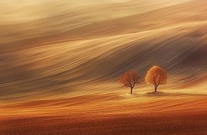 Herbstfeld Einsamkeit