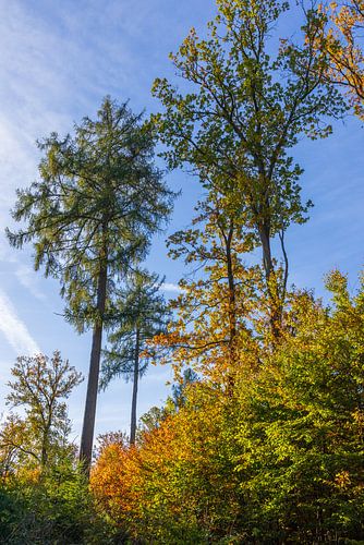 Herbstfarben