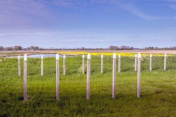 Mooring piles in the harbor of Schokland by Frans Nijland