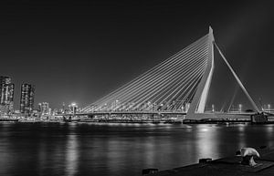 Skyline Rotterdam Le pont Erasmus en noir et blanc sur Marjolein van Middelkoop