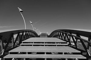 Pont Python, Amsterdam