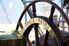 Roer van de Cisne Branco