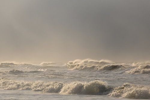 Golven op het strand van Texel in de Waddenzee