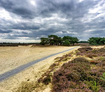 Radweg in den Drenth-Mooren bei bedecktem Sommerhimmel.