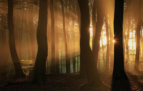 The first rays of sunshine