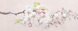 Calm Painting of Apple Blossom by Studio Pieternel