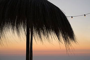 Rieten parasol aan het strand van Barbara Brolsma