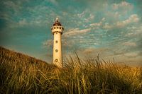Vuurtoren in de duinen