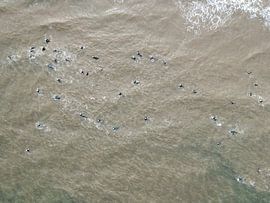 Triathlon in Zandvoort von Marco Bakker