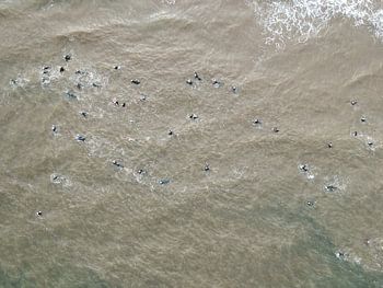 Triathlon in Zandvoort