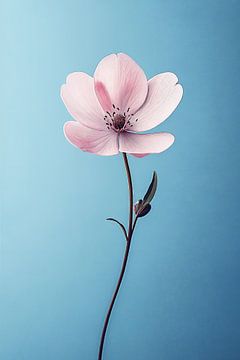 Roze Bloem in Blauw ii van Studio BB