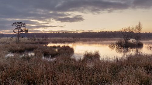 Nationaalpark Dwingelderveld