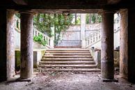 Escalier déserté et envahi par la végétation. par Roman Robroek - Photos de bâtiments abandonnés Aperçu