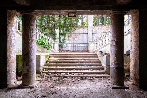 Escalier déserté et envahi par la végétation.