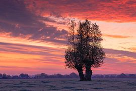 Magische kleuren! van delkimdave Van Haren