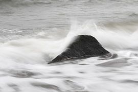 Platsch! von Jörg Hausmann