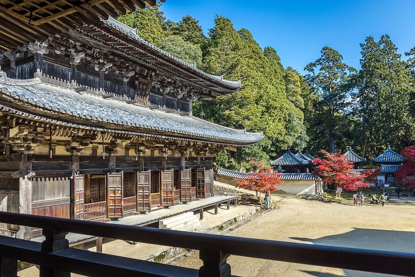 Engyo-Ji by Peter Dane