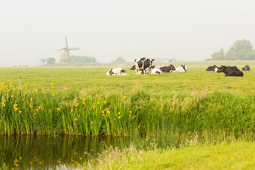 Hollands polderlandschap van Marijke van Eijkeren