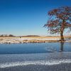 Schaatsers van Thijs Friederich