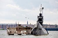 Duikboot bij NDSM-werf Amsterdam, met meeuwen