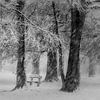 Frozen in time van Saskia Dingemans