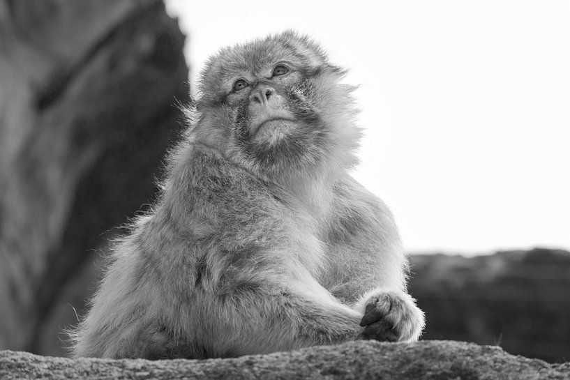 &quot;Penser par Tanja Otten Fotografie