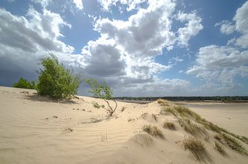 Paysage de dunes sur Mark Bolijn