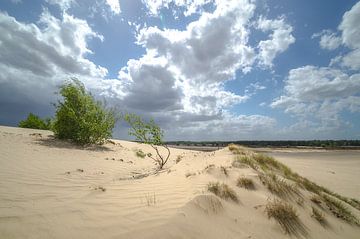 Paysage de dunes