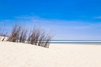 the dunes on texel beach