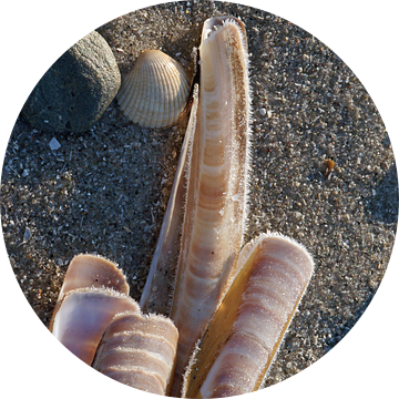 Scheermesjes op het strand met rijp-rand. van Gert van Santen