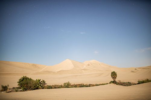 Huacachina