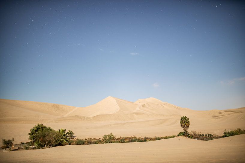 Huacachina par Luc Buthker