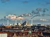 The rooftops of Copenhagen von Lex Schulte Miniaturansicht